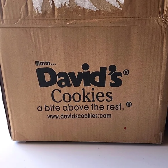 NWT, David's Cookies Christmas Ceramic Cookie Jar. Owl Design. - Picture 2 of 15